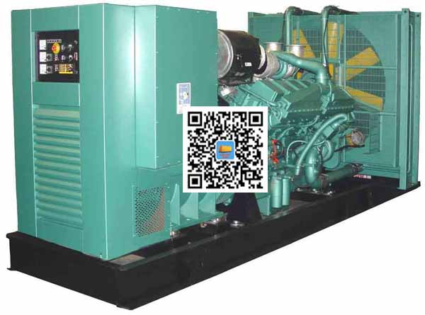 林周笼型异步发电机的电力电子控制技术